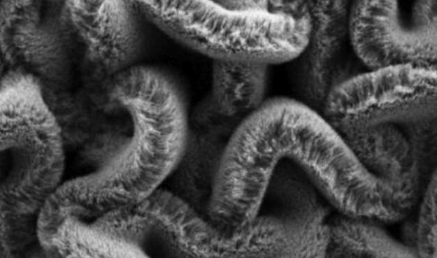 行业新闻：可拉伸的超等电容器，为柔性可穿戴设备铺路